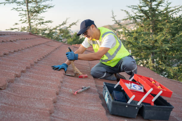 Best Roof Gutter Cleaning  in Lakeview, OR